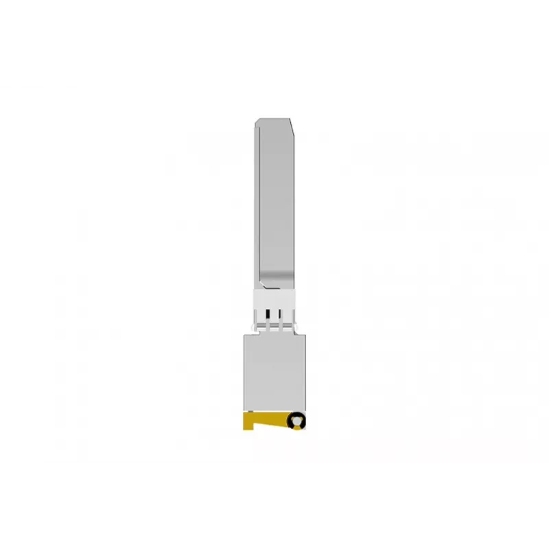 NETGEAR AXM765-20000S võrgusaatja moodul Fiiberoptiline 10000 Mbit/s SFP+