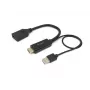 HDMI-DisplayPorti adapter Equip 119039