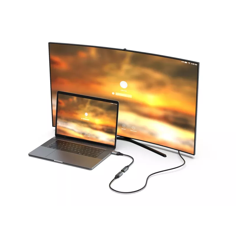 Equip DisplayPort 1.4 HDMI-adapter 8K 60Hz 0,15m