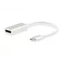 Equip USB Type C to DisplayPort adapter, 4096 x 2160 pikslit