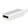 Equip USB Type C to DisplayPort adapter, 4096 x 2160 pikslit