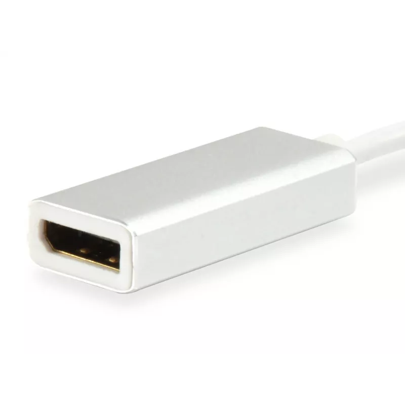 Equip USB Type C to DisplayPort adapter, 4096 x 2160 pikslit