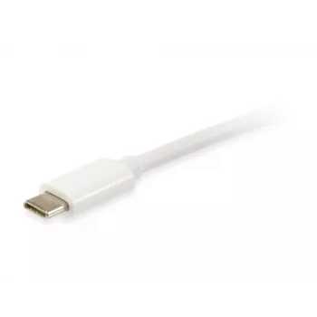 Equip Platinum USB Type C kaabel, 2 m, USB C, USB C, USB 3.2 Gen 2 (3.1 Gen 2), 10 Gbit/s, Valge