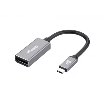 Equip USB-C DisplayPort 1.4 adapteriga 8K 30Hz 0.15m