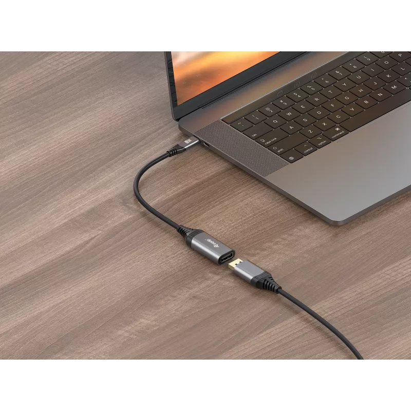 Equip USB-C DisplayPort 1.4 adapteriga 8K 30Hz 0.15m