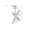 Equip 23–55 tolli laekinnitusega teleriklamber, 75 x 75 mm, 400 x 400 mm, 0–80°, -45–45°, roostevaba teras, must