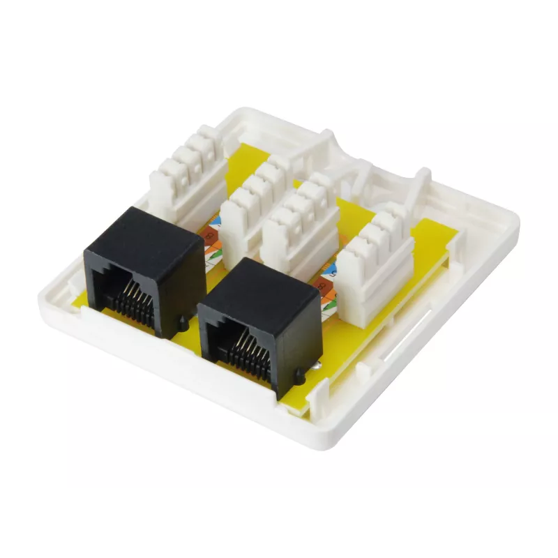 Surface Mount Box Equip 2-Port Cat.6 235214