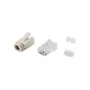 Equip Cat.6A RJ45 pistikute komplekt 100 tk läbipaistev valge