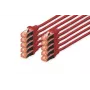 DIGITUS patch-kaabel Vaskjuht - CAT6 - S/FTP - Snagless - 25cm - punane - 10 tk pakis