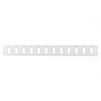 DIGITUS Fo esipaneel Quick Lock 12x SC DX vertikaalselt, hall