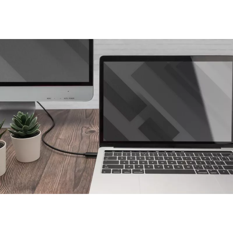 DIGITUS USB USB-C Gen2 to HDMI-A adapterkaabel - 2m