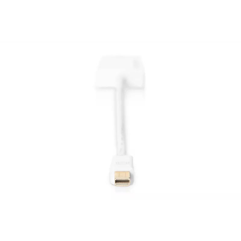 DIGITUS ASSMANN DisplayPort adapteri kaabel, mini DP - HDMI tüüp A M/F, 20cm HDMI Ver. 2.0, aktiivne, CE, kuld, valge