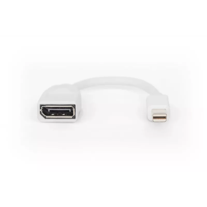 DIGITUS DisplayPort adapterkaabel, mini DP - DP M/F, 0,15 m, DP 1.2 ühilduv, valge