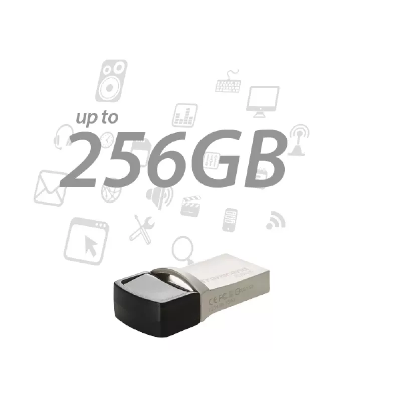 TRANSCEND Jetflash 890 - 256 GB USB-mälupulk - USB 3.1 / Type C