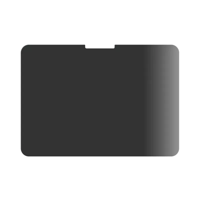 PanzerGlass ® Privacy ekraanikaitse ® iPad Pro 11'' (2024-2025) | Ultra-Wide Fit