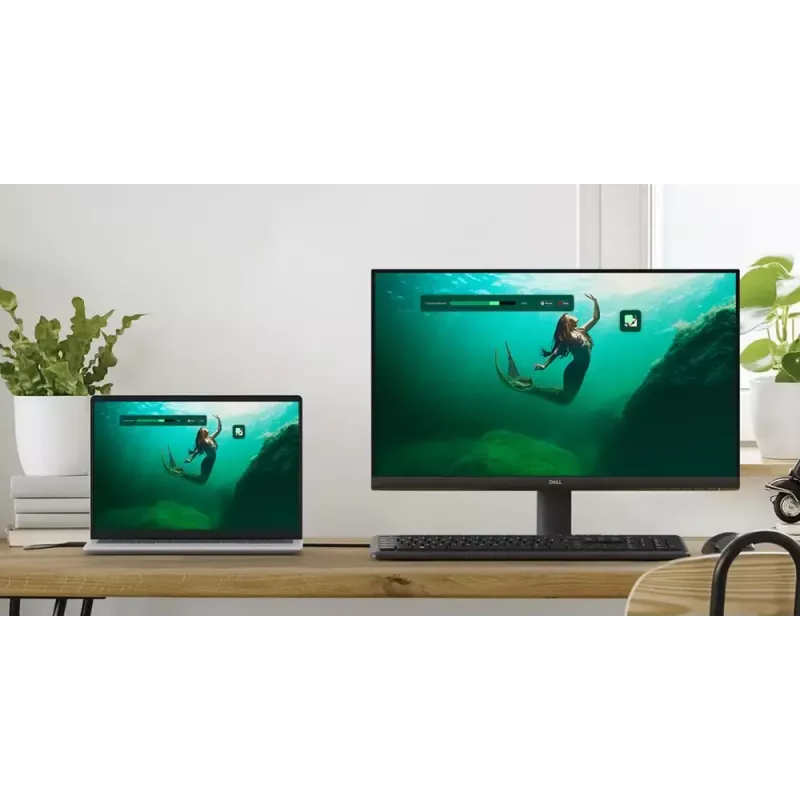 DELL SE2425HM arvutimonitor 60,5 cm (23,8 tolli) 1920 x 1080 Full HD LCD must