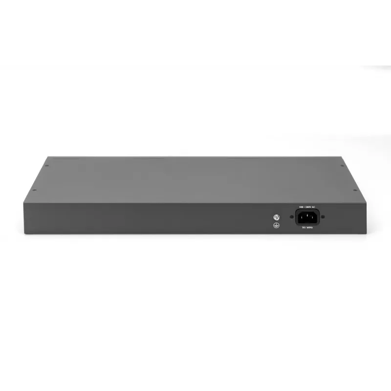 DIGITUS Fast Ethernet PoE Switch 16-pordiline PoE + 2 Combo. 250 W PoE eelarve