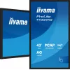 iiyama T4329AS-B1AG arvutimonitor 108 cm (42,5 tolli) 3840 x 2160 pikslit 4K Ultra HD LED puuteekraan Must