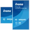 iiyama LH6581UHSG-1AG Digitaalsildi kuvar Digitaalsildi lameekraan 163,8 cm (64,5 tolli) Wi-Fi 500 cd/m² 4K Ultra HD Valge Sisseehitatud protsessor Android 24/7