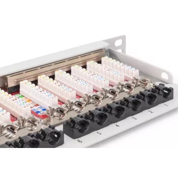 DIGITUS Paigalduspaneel CAT6A EA varjestatud, 24-pordiline RJ45 tolmukate, 8P8C, 0,5U, hall RAL 7035