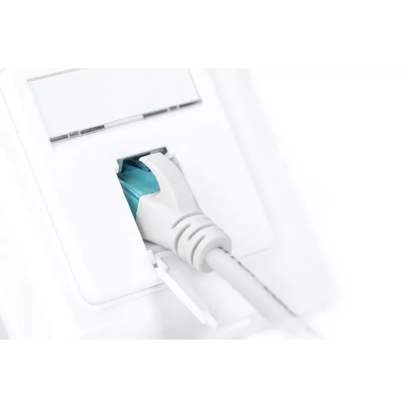 DIGITUS CAT6A klass EA võrgu seinapesa, varjestatud 1x RJ45, LSA, puhasvalge, tasa-paigaldus, 8 suunda
