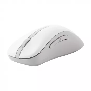 ASUS Wireless MD102 hiir Universaalne Paremakäeline RF-juhtmevaba + Bluetooth Optiline 1600 DPI