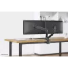 Neomounts DS70-700BL2 Monitor arm 17-27 inch - gas spring, Clamp, 7 kg, 43.2 cm (17 inch), 68.6 cm (27 inch), 100 x 100 mm, Must