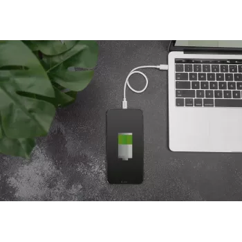 Laadimiskaabel USB-C - Lightning Digitus Data DB-600109-010-W