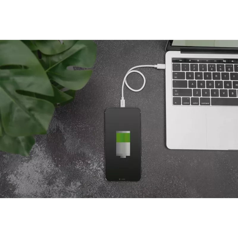 Laadimiskaabel USB-C - Lightning Digitus Data DB-600109-010-W