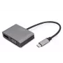 DIGITUS USB Type-CT 4K 2-in-1 DisplayPort + VGA graafikaadapter