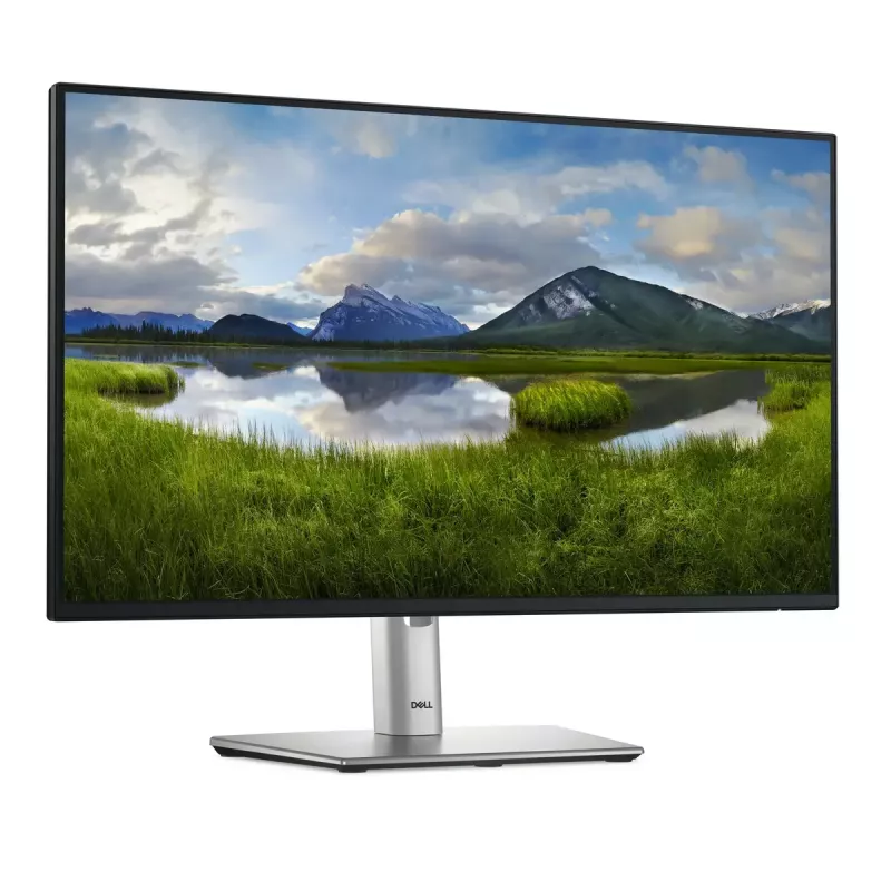 DELL Pro Plus P2425HE arvutimonitor 60,5 cm (23,8 tolli) 1920 x 1080 pikslit Full HD LCD must