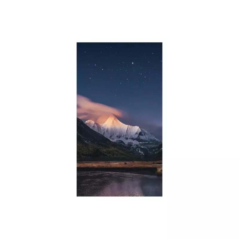 Monitor Samsung VM55C-R 55-tolline LCD Full HD 1920x1080