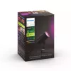Philips Hue Valge ja värvi ambience Lily väliala