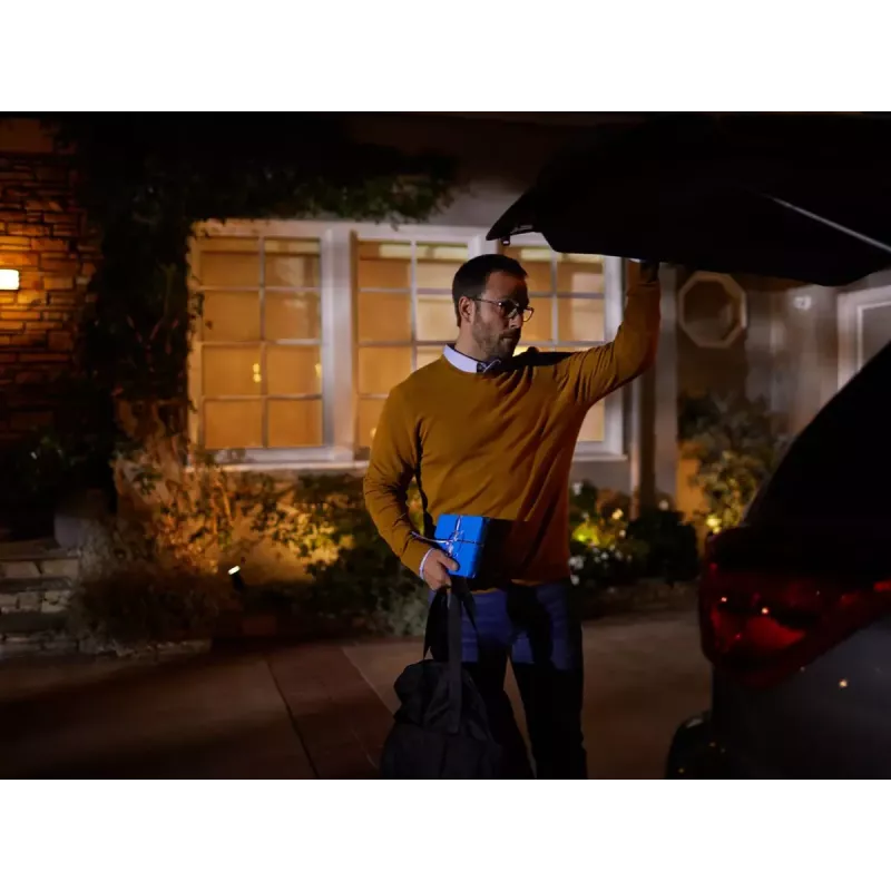 Signify Philips Hue Bridge - keskne juhtseade - juhtmevaba, juhtmega