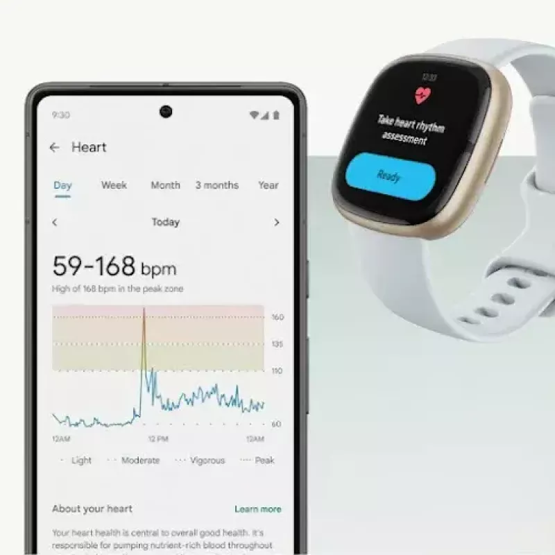 Nutikell Fitbit Sense 2
