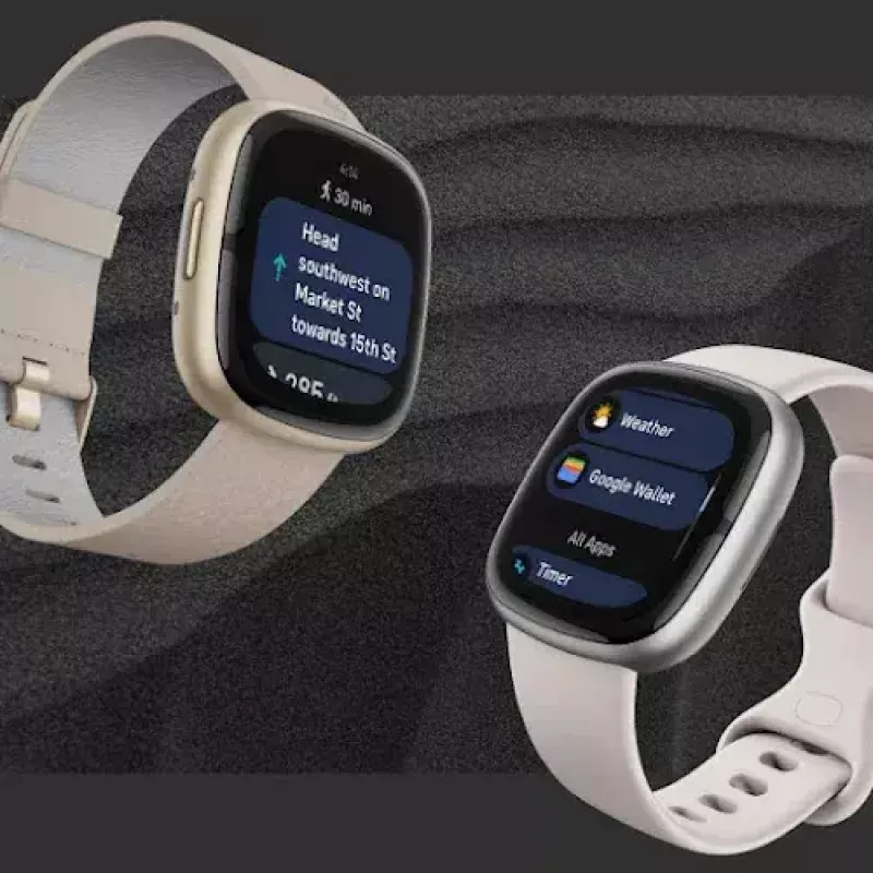 Nutikell Fitbit Sense 2
