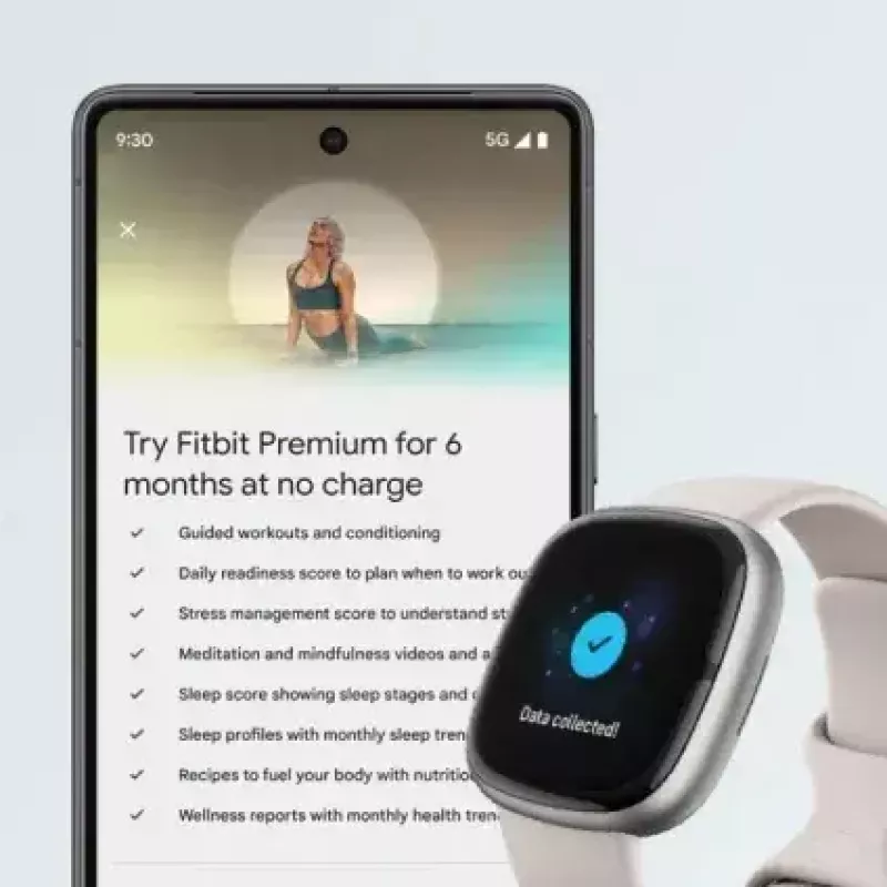 Nutikell Fitbit Sense 2