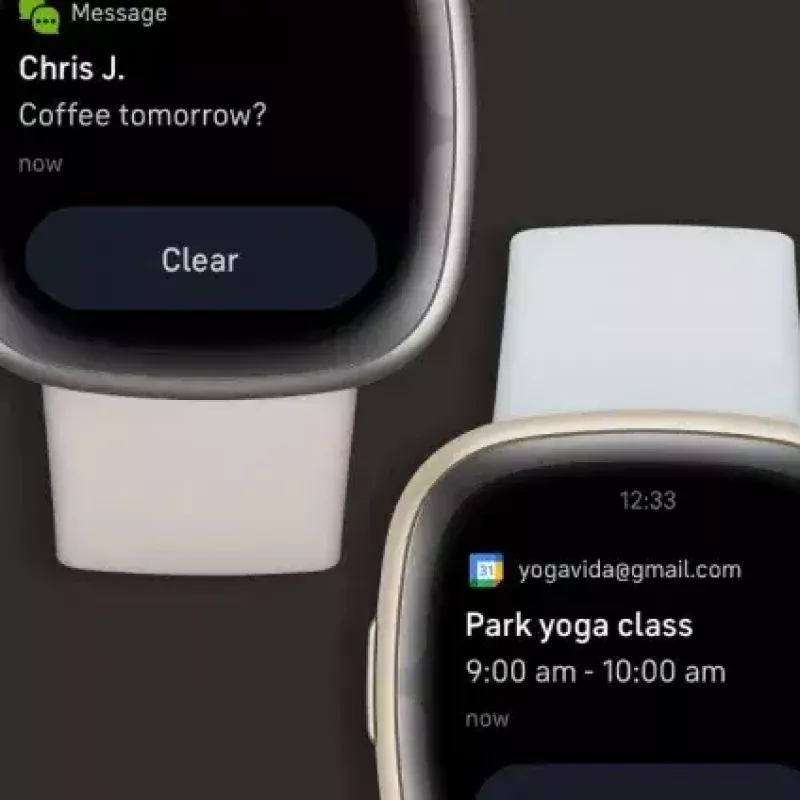 Nutikell Fitbit Sense 2