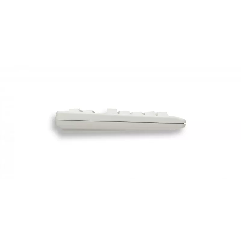 CHERRY TouchBoard G80-1190 klaviatuur universaalne USB QWERTZ saksa hall