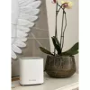 D-Link COVR AX1800 kaheribaline kogu kodu Mesh Wi‑Fi 6 süsteem