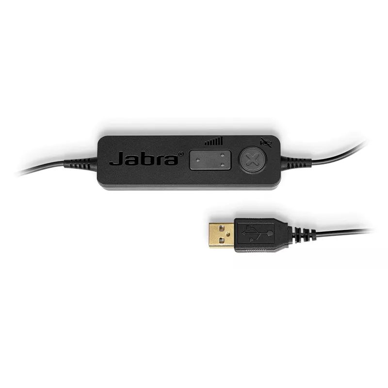Peakomplekt Jabra BIZ 1100 EDU DUO USB