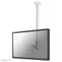 Neomounts FPMA-C100Valge monitori/teleri laekinnitus 10-30 tolli - kõrgus 79-129 cm