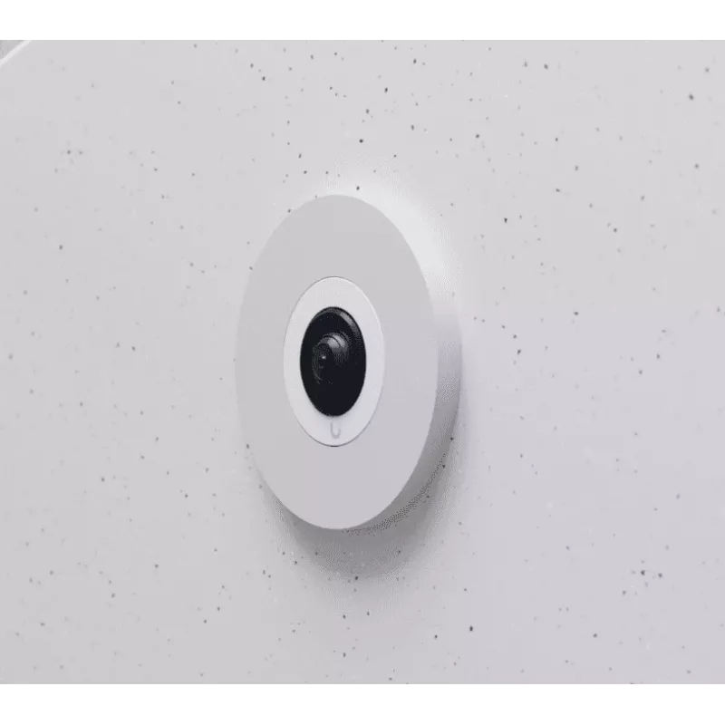 IP-valvekaamera Ubiquiti AI Theta Professional 2160 x 2160