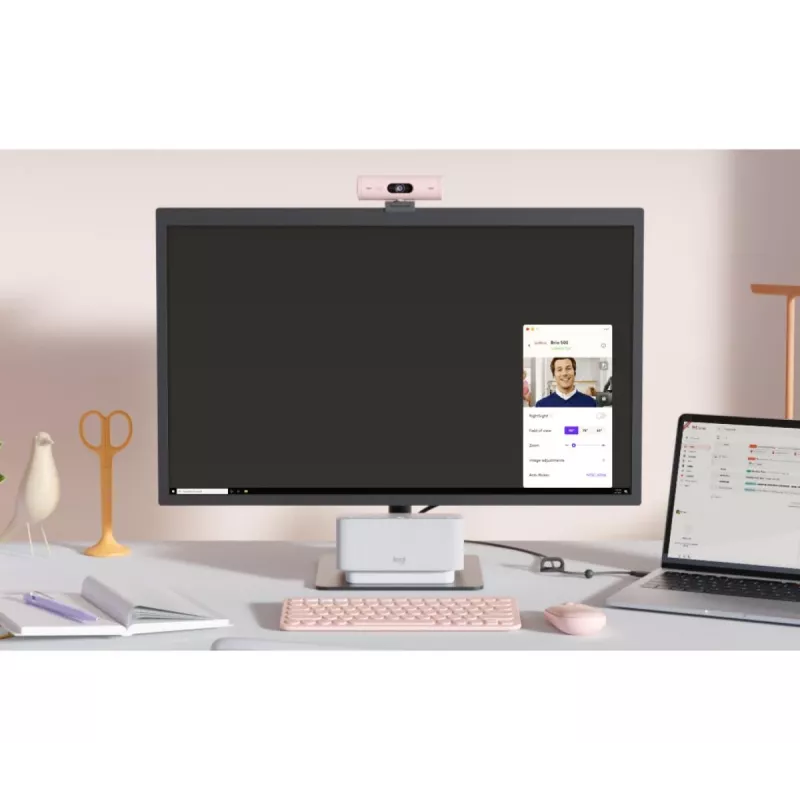 LOGITECH Brio 500 Full HD veebikaamera roosa