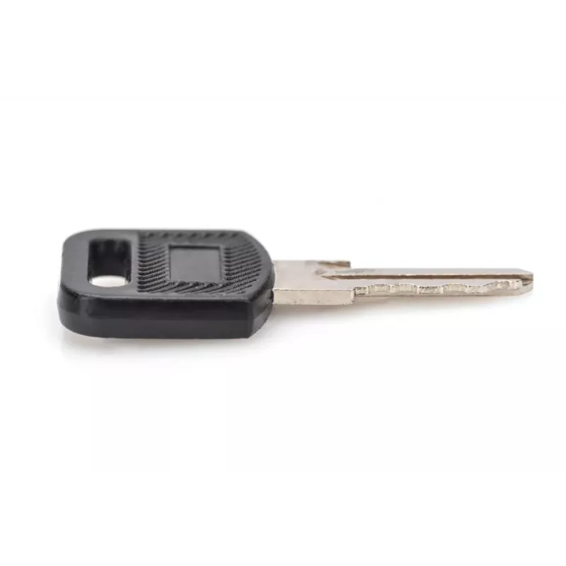 Lukustusvõti seinale kinnitatavatele korpustele DIGITUS DN-KEY-WM — Dynamic seeria, SOHO 10 tolli ja 19 tolli seeria, laadimiskapid (2 tk)