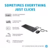 HP 150 juhtmega hiir ja klaviatuur