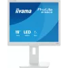 iiyama ProLite B1980S-W1 arvutimonitor 48,3 cm (19 tolli) 1280 x 1024 pikslit SVGA LED Valge