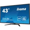 iiyama ProLite X4373UHSU-B1 arvutimonitor 108 cm (42.5 tolli) 3840 x 2160 pikslit 4K Ultra HD must