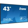 iiyama PROLITE LE4341S-B2 Digitaalne infotahvel 108 cm (42.5 tolli) LCD 350 cd/m² Full HD Must 18/7