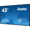 iiyama PROLITE LE4341S-B2 Digitaalne infotahvel 108 cm (42.5 tolli) LCD 350 cd/m² Full HD Must 18/7